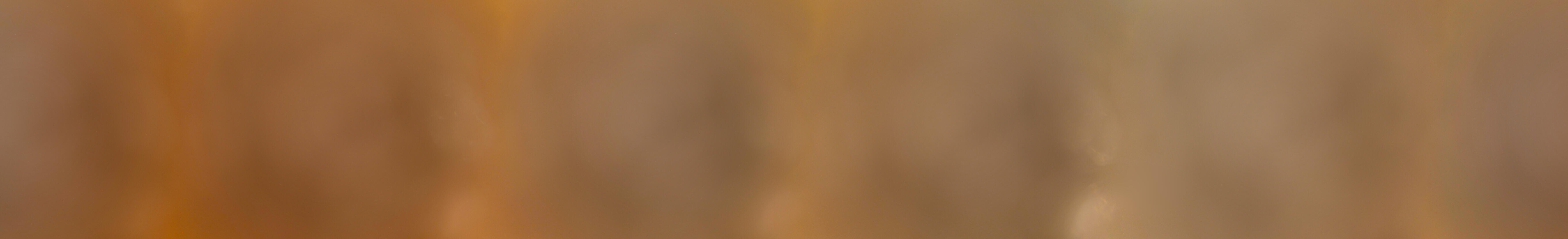 Grand domaine - Webcam les Crêtes